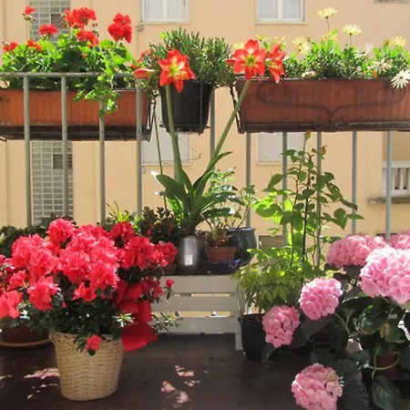 Art Design Duomo ميلان